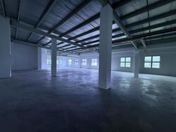 Ubi 55 (D14), Factory #523536131